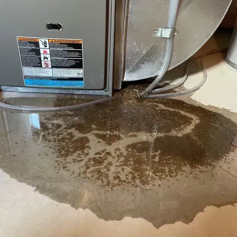 Appliance Leak Cleanup in Trigg County, KY